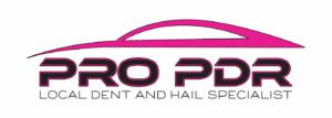 Pro PDR logo featuring a pink car silhouette and the text "PRO PDR" with the tagline "LOCAL DENT ANIMAL SPECIALIST," representing the paintless dent repair service in Colorado Springs.